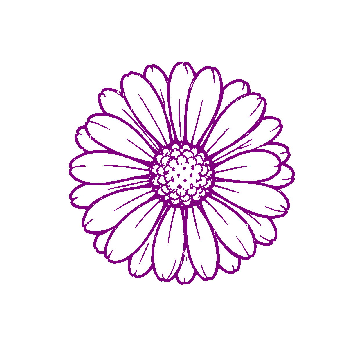 Dibujo a tinta morada de una flor de caléndula