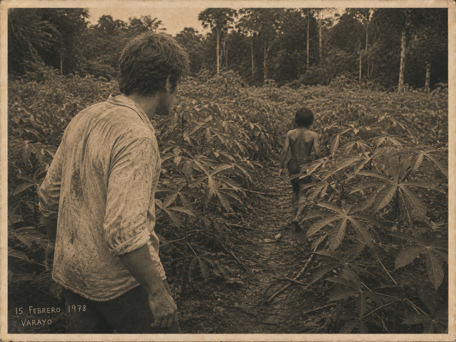 Fotografía de los campos de yuca en la ribera del Río Lobos.
